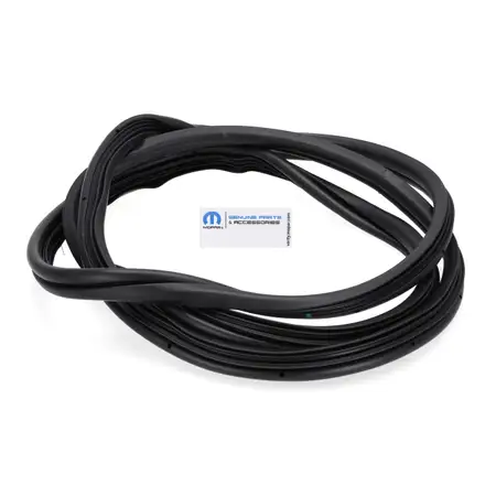 ORIGINAL Fiat PSA MOPAR T&uuml;rdichtung Fahrert&uuml;r Ducato 250 Boxer vorne links 52244487