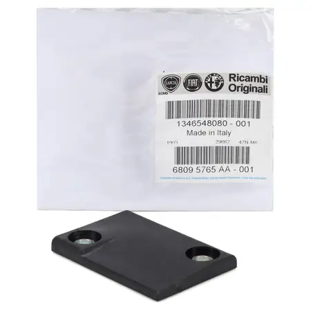 ORIGINAL Fiat plate lining rear door Ducato 250 rear bottom 1346548080