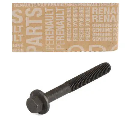 ORIGINAL Renault Dacia Schraube Einspritzd&uuml;se M8 Megane 3 4 Duster 2 1.5 dCi 8200548368