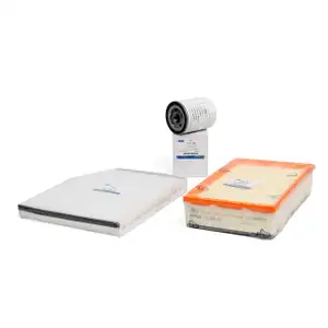 ORIGINAL Ford inspection kit, 3-piece, Transit V363 2.0 EcoBlue 105/130 hp, from 06/2016