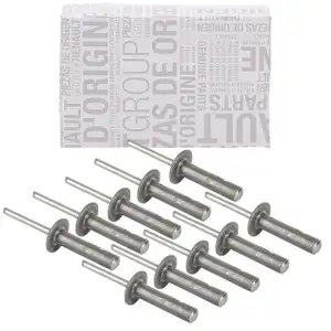 10x ORIGINAL Renault Blindniete Metallniete CAPTUR CLIO MEGANE TWINGO 7703072362