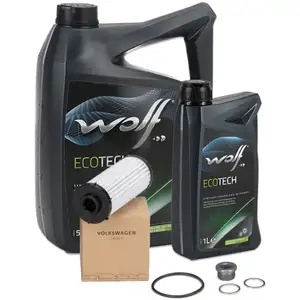 ORIGINAL AUDI SEAT SKODA VW Getriebefilter Satz 6-Gang DSG DQ250 + 6L WOLF Getriebeöl