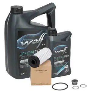 ORIGINAL AUDI SEAT SKODA VW Transmission Filter Set 6-Speed DSG DQ250 + 6L WOLF Transmission Oil