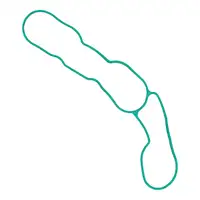 ORIGINAL PSA Kr&uuml;mmerdichtung Ansaugkr&uuml;mmer Berlingo DS3 C3 2 3 208 308 2 1.2 9803918580