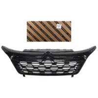 ORIGINAL Citroen MOPAR L&uuml;ftungsgitter Sto&szlig;f&auml;nger Jumper 3 ab 08.2014 1613256780