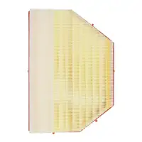 ORIGINAL BMW Luftfilter X5 G05 X6 G06 X7 F07 xDrive 40i 50e 13715A24FB2