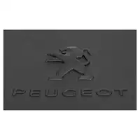 ORIGINAL Peugeot rubber mats, 2-piece set, Expert front, 1666753880