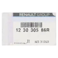 ORIGINAL Dacia Riemenscheibe Kurbelwelle Scenic Megane 4 Captur 1 2 1.3 TCe 123030586R