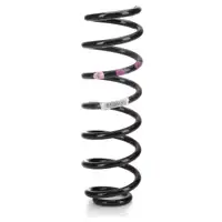 2x ORIGINAL Renault suspension spring coil spring Grand Scenic 3 rear 550200023R