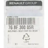 ORIGINAL Renault Zierleiste Seitenwand Schwarz Master 3 hinten rechts 768F30005R