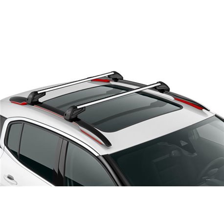 2 Stück Auto Dachträger, für Citroen C4 Aircross 2012-2022