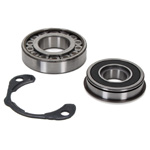 Gearbox bearing