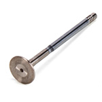 Inlet Valves / Outlet Valves