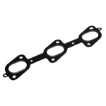 Manifold seals